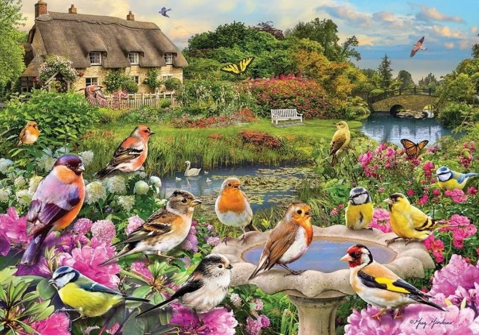 Dementie Puzzel - Vogelzang bij een Riviertje – 250 XL stukjes, ideaal voor senioren