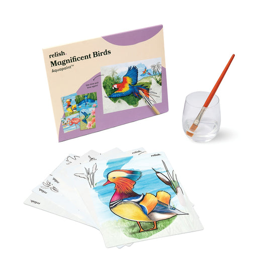 Geniet van kleurrijke dieren met Schilderen met water - Prachtige vogels. Een rustgevende en creatieve activiteit voor ouderen met dementie. Kleuren verschijnen met water en platen zijn herbruikbaar