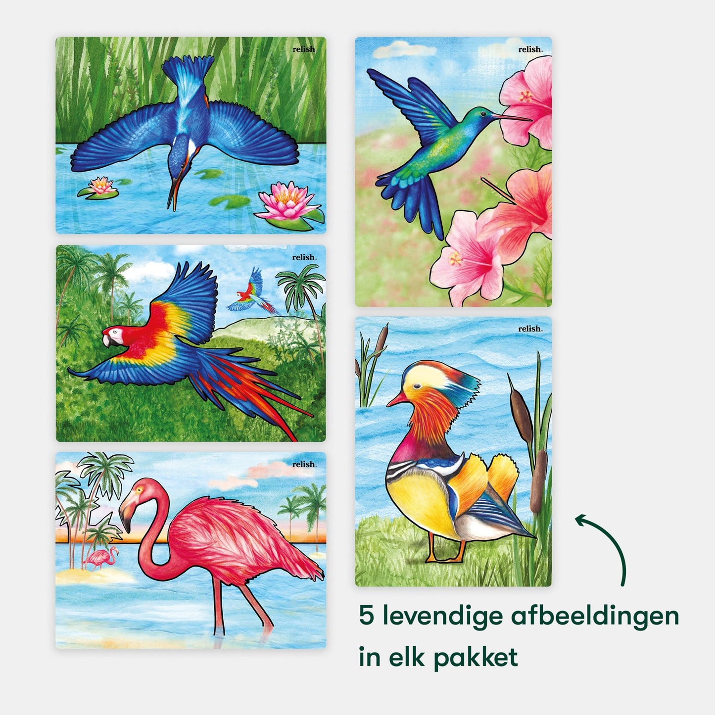 Malen mit Wasser – Schöne Vögel (Aquapaint für Menschen mit Demenz)