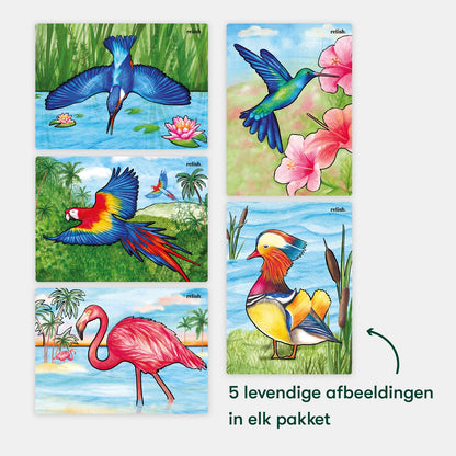 Malen mit Wasser – Schöne Vögel (Aquapaint für Menschen mit Demenz)
