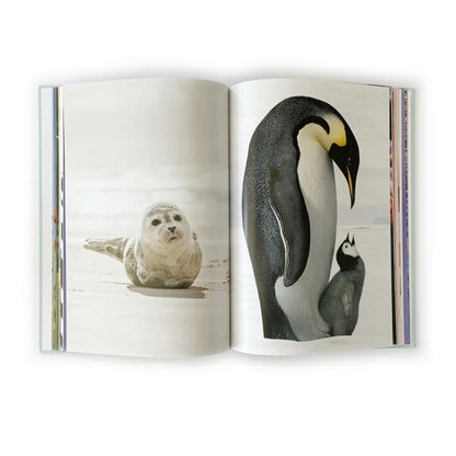 Het Grote Prentenboek – Beeldverhalen die creativiteit en herinneringen stimuleren voor ouderen.