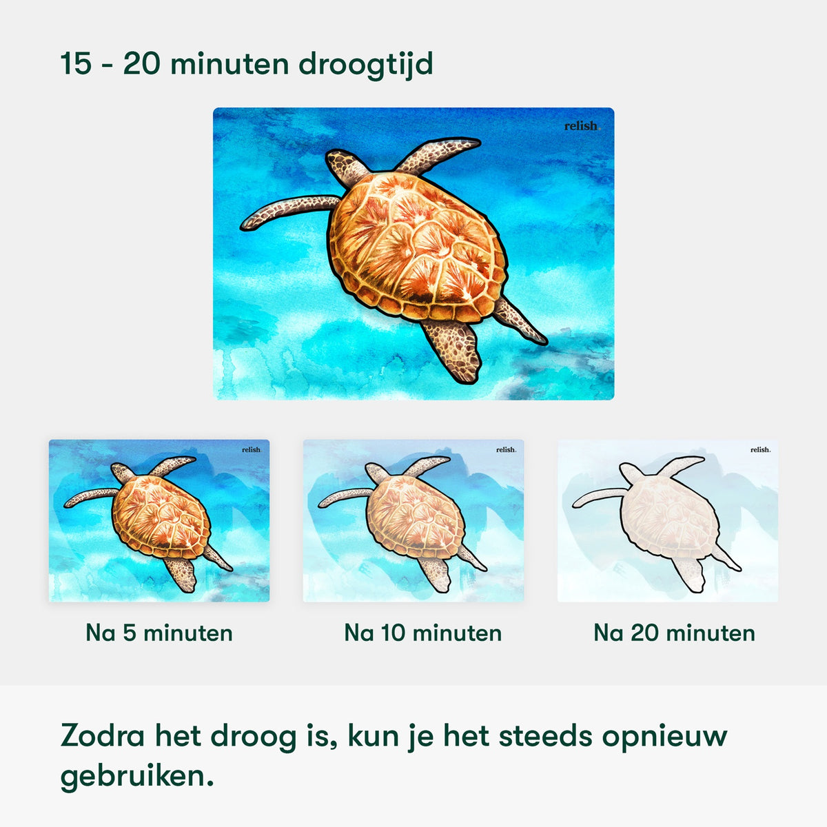 Aquapaint Ocean Life