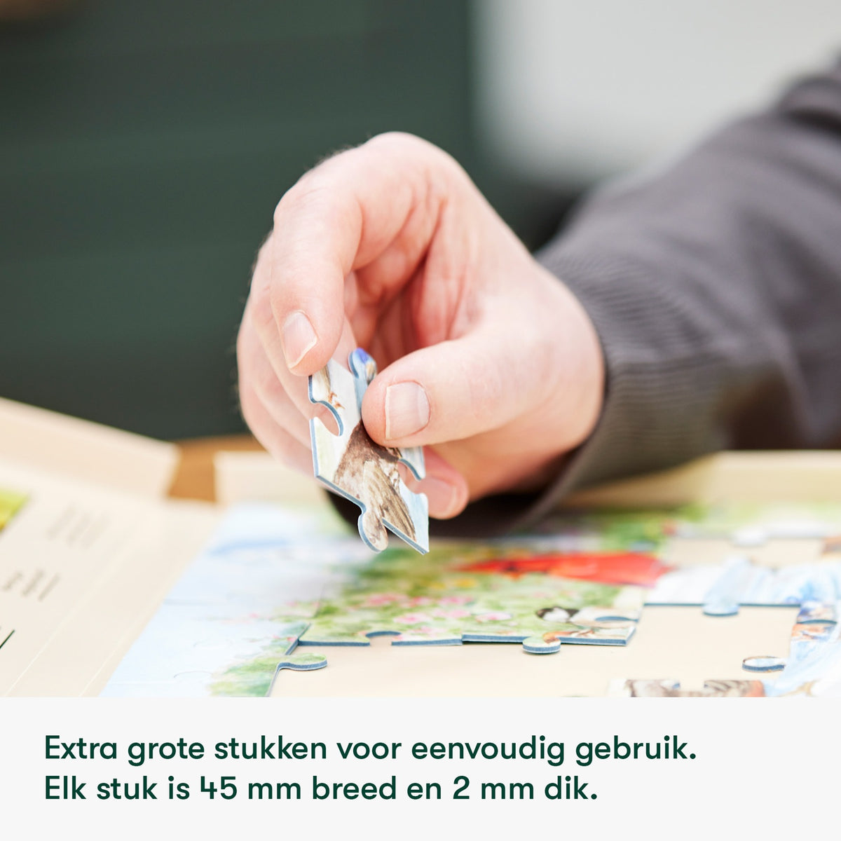 Demenz-Puzzle Nostalgie an der Küste – 35 Teile