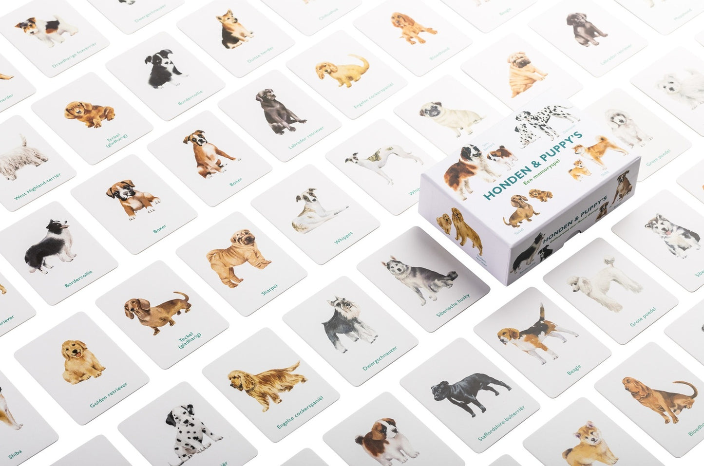 Memospel Honden & Puppy's – Geheugenspel waarbij honden en puppy's gekoppeld worden, stimuleert geheugen en activering voor senioren.